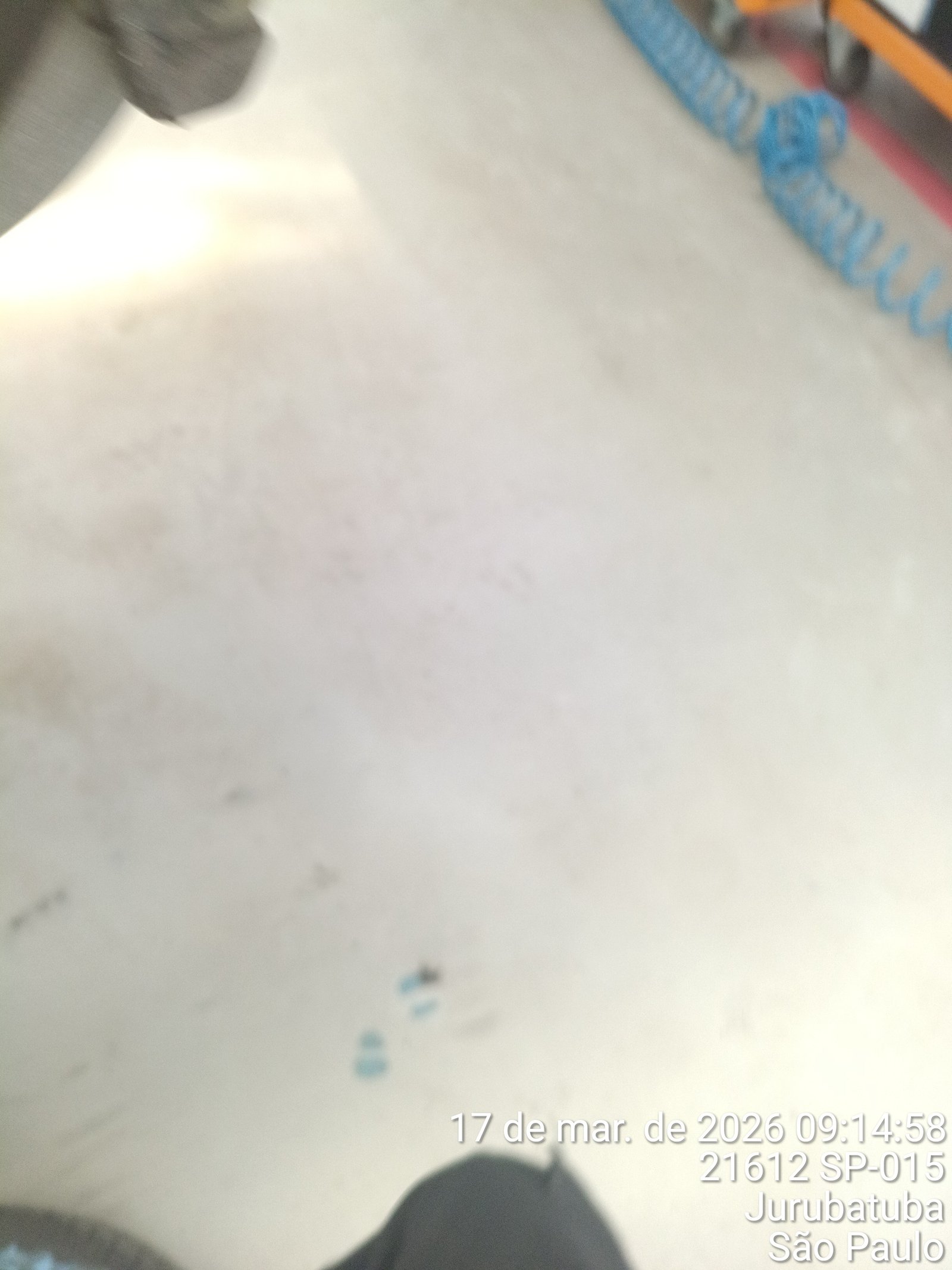 Foto de Pizao